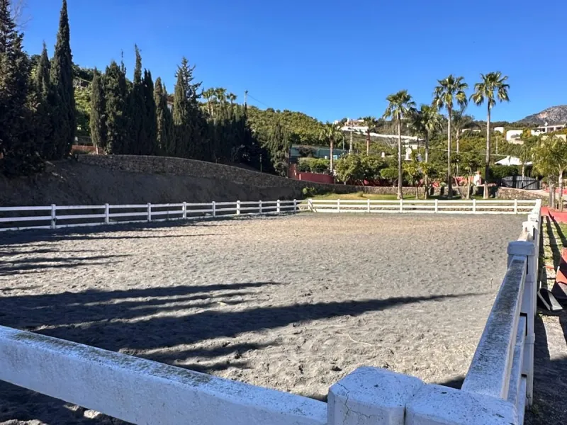 LIVE YOUR EQUESTRIAN DREAM IN THIS SPECTACULAR LUXURY FARMHOUSE!