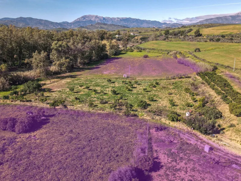 Country Property in Andalucia