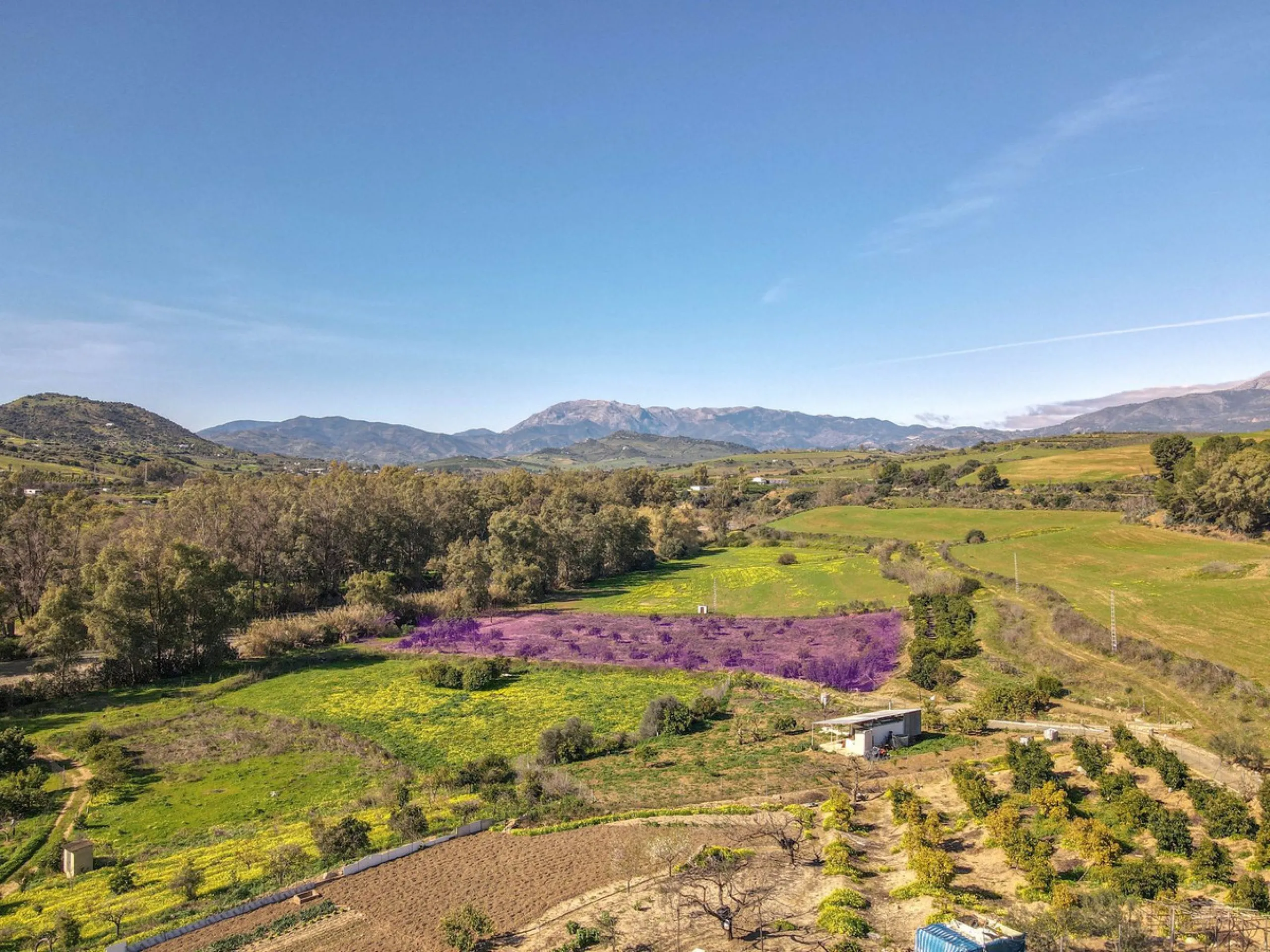 Country Property in Andalucia