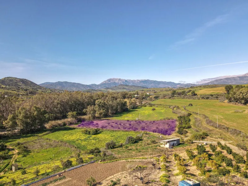 Country Property in Andalucia
