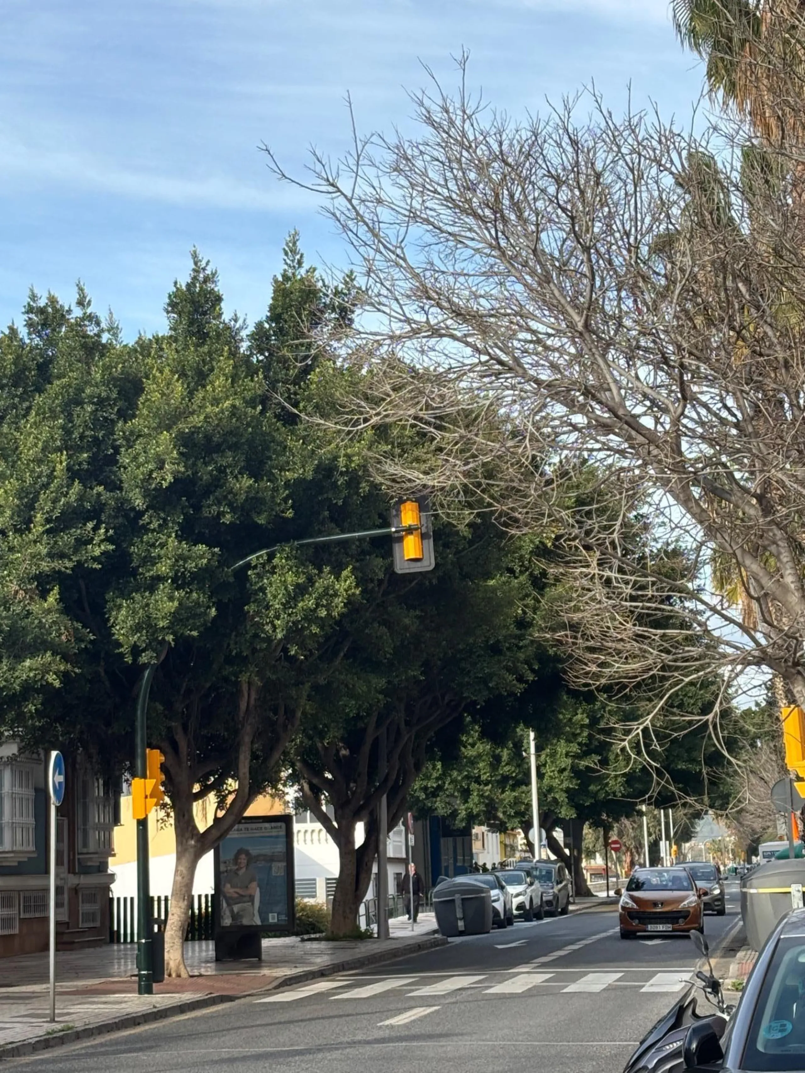 Unique Opportunity! Bright duplex with sea views in El Palo