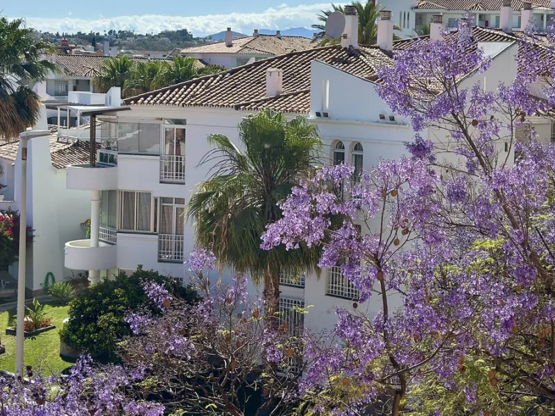 Bright and Ideal Home with Stunning Views in Los Pacos