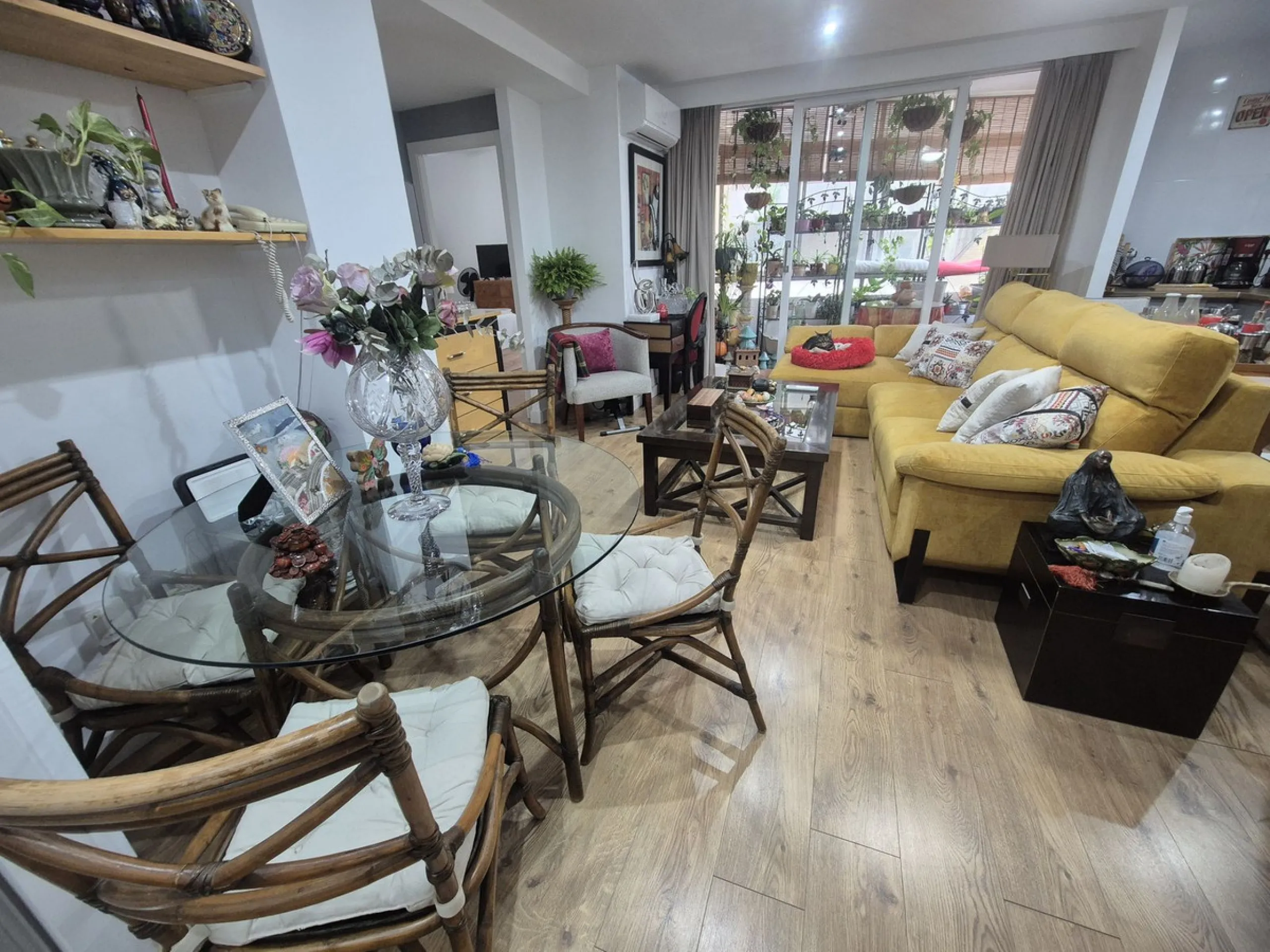 Tourist License in Marbella City Center
