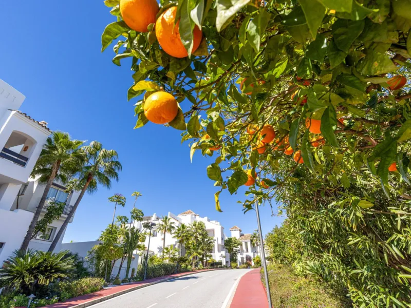 Renovated 3-bedroom duplex penthouse in exclusive gated community with sea & golf views in Marbella - Benahavis
