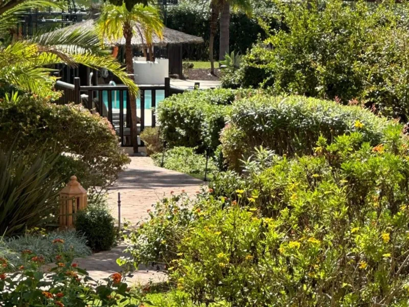 A magnificent apartment for sale in the prestigious  residential complex, located on the first line of the sea.