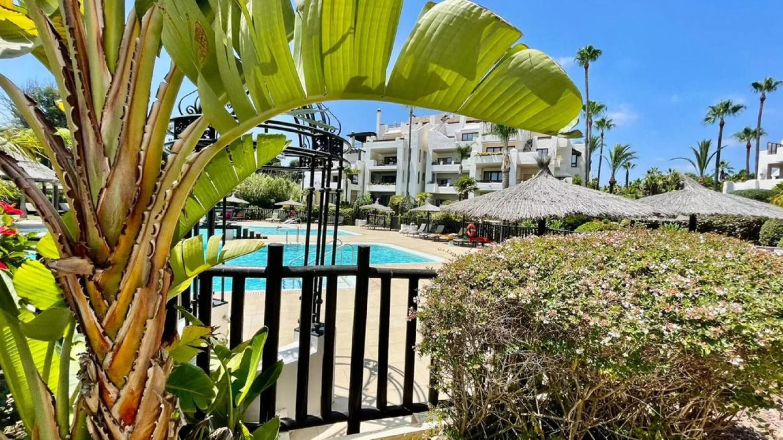 A magnificent apartment for sale in the prestigious  residential complex, located on the first line of the sea.