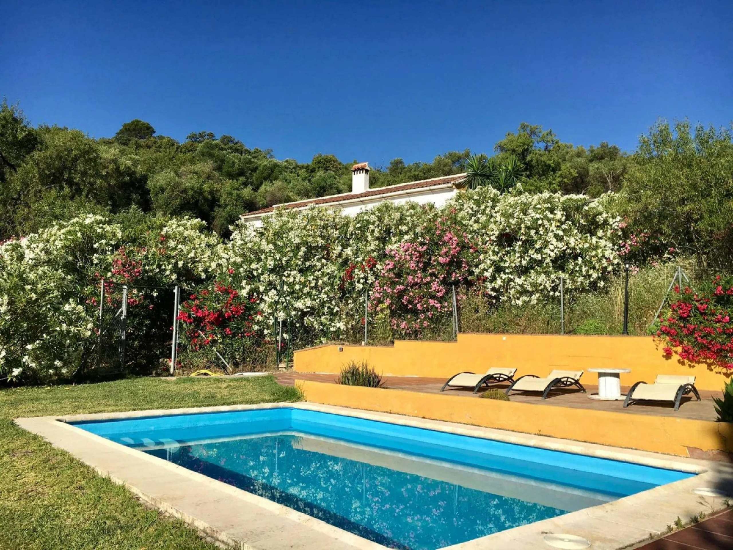 P> Exceptional and rare property just 27 km from the beaches of the  Costa del Sol. An ideal estate for equestrians, featuring a stable block, a spacious farmhouse , a cosy guest casita, and an additional building suitable for conversion into further acco
