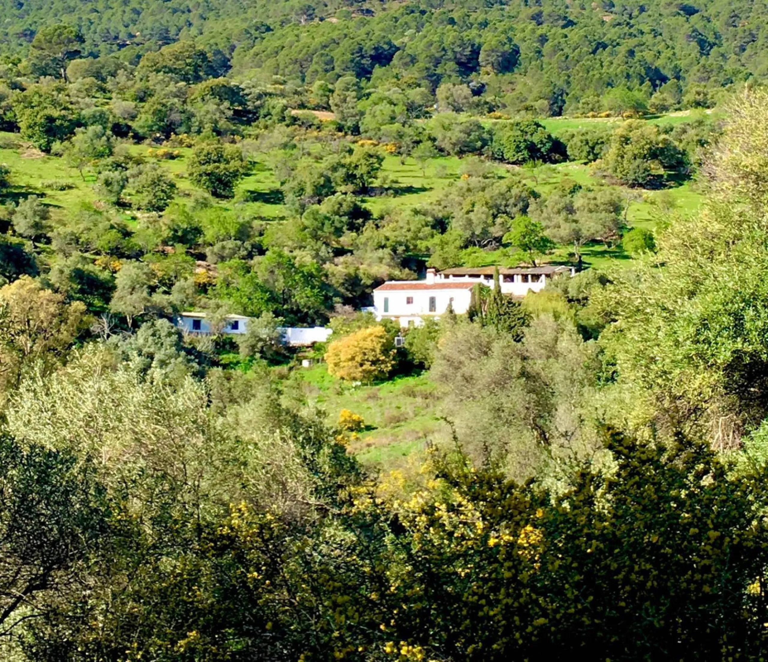 P> Exceptional and rare property just 27 km from the beaches of the  Costa del Sol. An ideal estate for equestrians, featuring a stable block, a spacious farmhouse , a cosy guest casita, and an additional building suitable for conversion into further acco