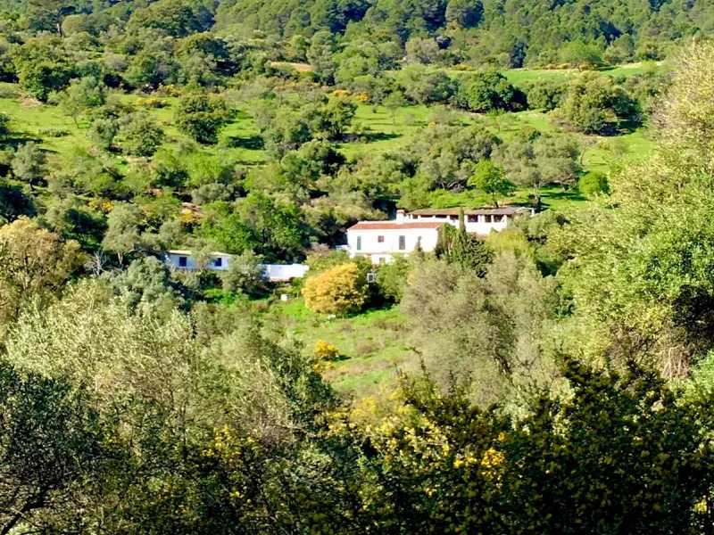 P> Exceptional and rare property just 27 km from the beaches of the  Costa del Sol. An ideal estate for equestrians, featuring a stable block, a spacious farmhouse , a cosy guest casita, and an additional building suitable for conversion into further acco