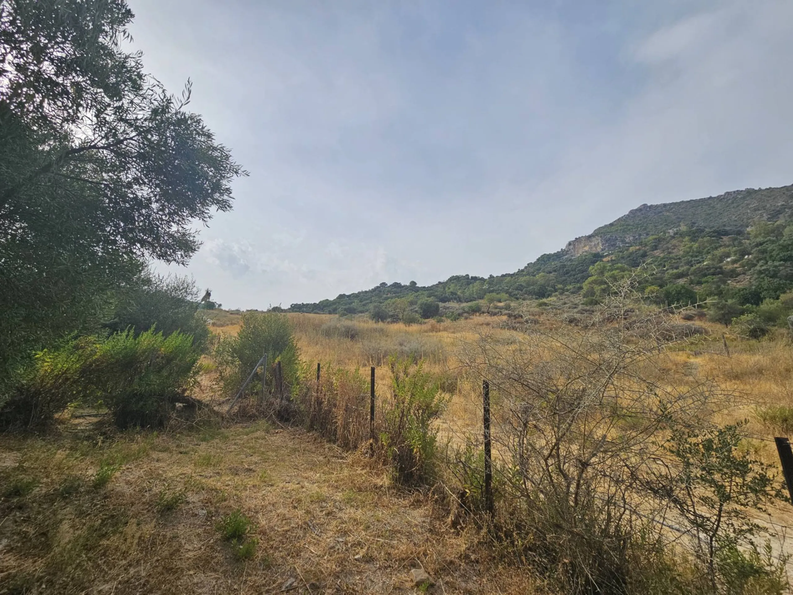 P> Exceptional and rare property just 27 km from the beaches of the  Costa del Sol. An ideal estate for equestrians, featuring a stable block, a spacious farmhouse , a cosy guest casita, and an additional building suitable for conversion into further acco