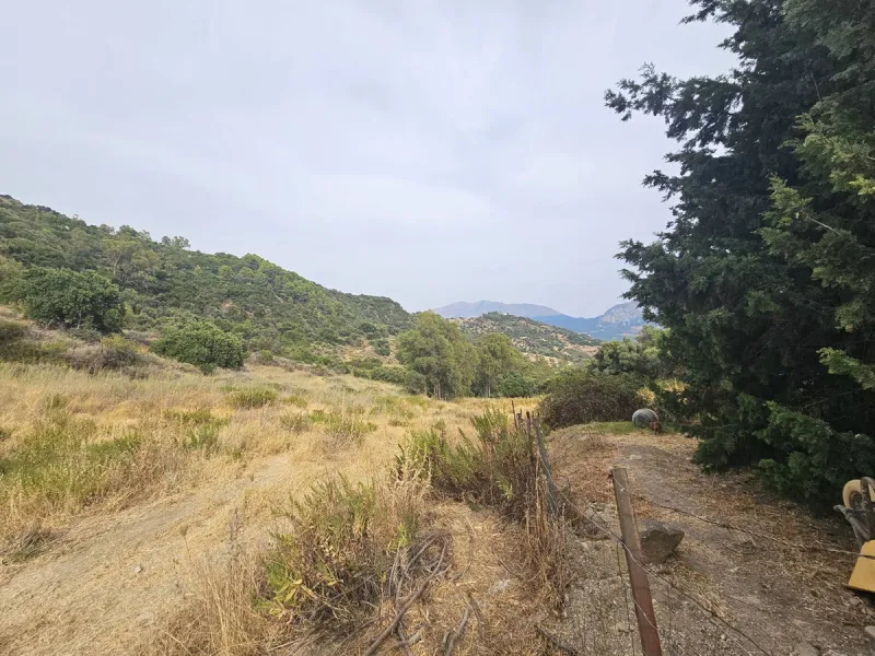 P> Exceptional and rare property just 27 km from the beaches of the  Costa del Sol. An ideal estate for equestrians, featuring a stable block, a spacious farmhouse , a cosy guest casita, and an additional building suitable for conversion into further acco