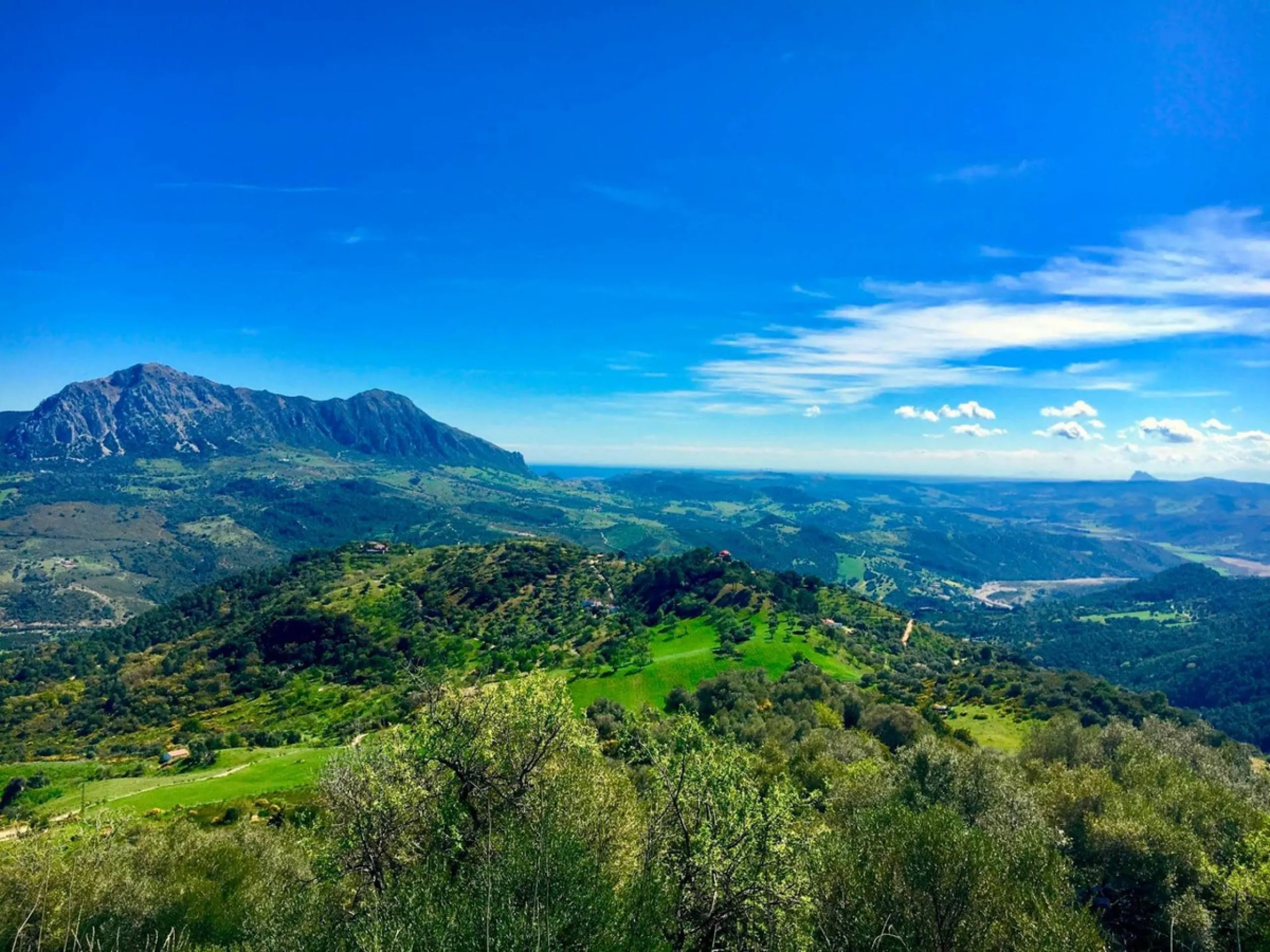 P> Exceptional and rare property just 27 km from the beaches of the  Costa del Sol. An ideal estate for equestrians, featuring a stable block, a spacious farmhouse , a cosy guest casita, and an additional building suitable for conversion into further acco