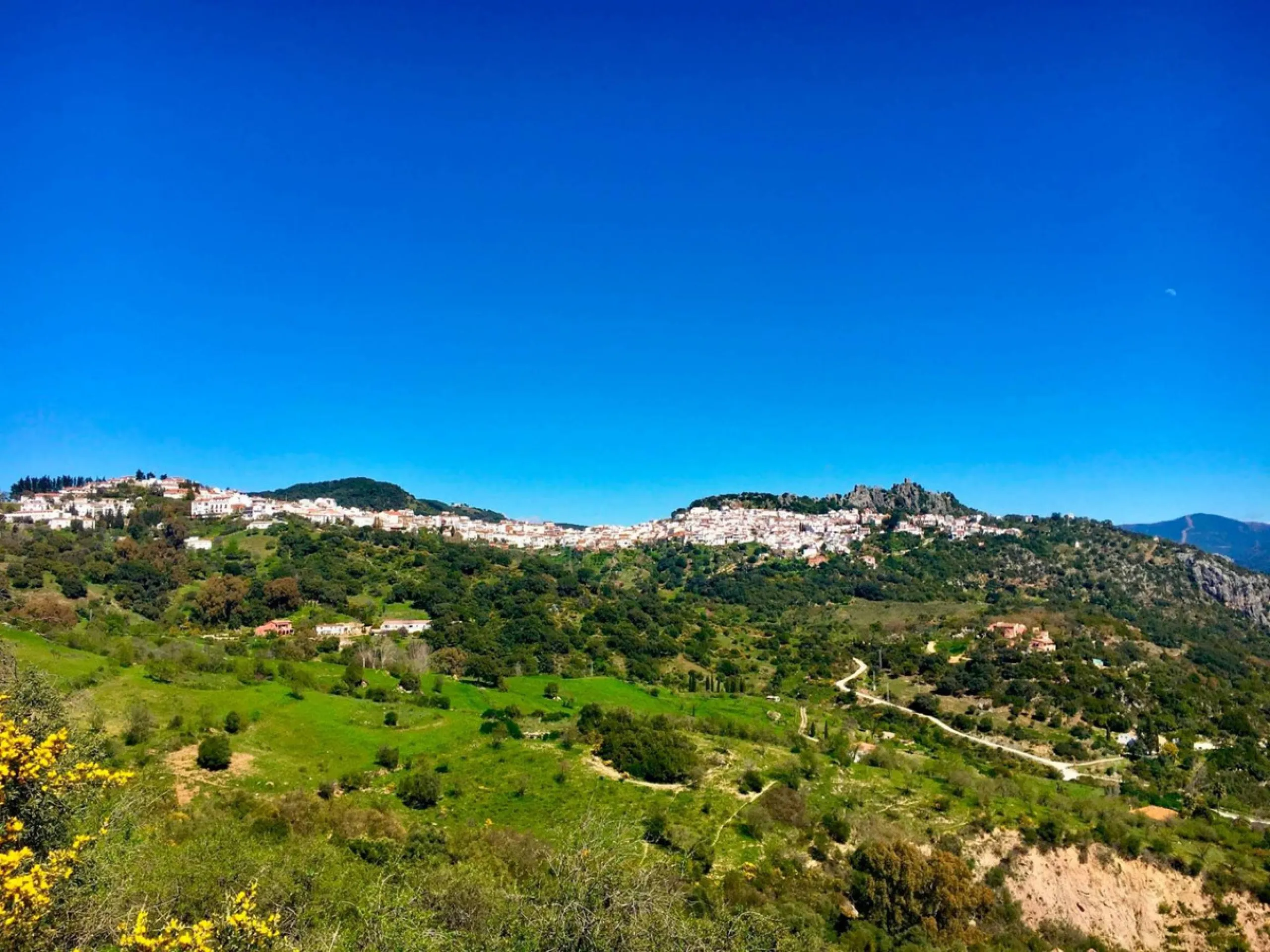 P> Exceptional and rare property just 27 km from the beaches of the  Costa del Sol. An ideal estate for equestrians, featuring a stable block, a spacious farmhouse , a cosy guest casita, and an additional building suitable for conversion into further acco