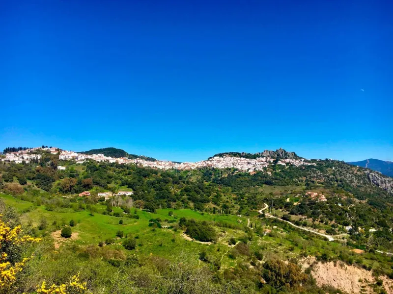 P> Exceptional and rare property just 27 km from the beaches of the  Costa del Sol. An ideal estate for equestrians, featuring a stable block, a spacious farmhouse , a cosy guest casita, and an additional building suitable for conversion into further acco