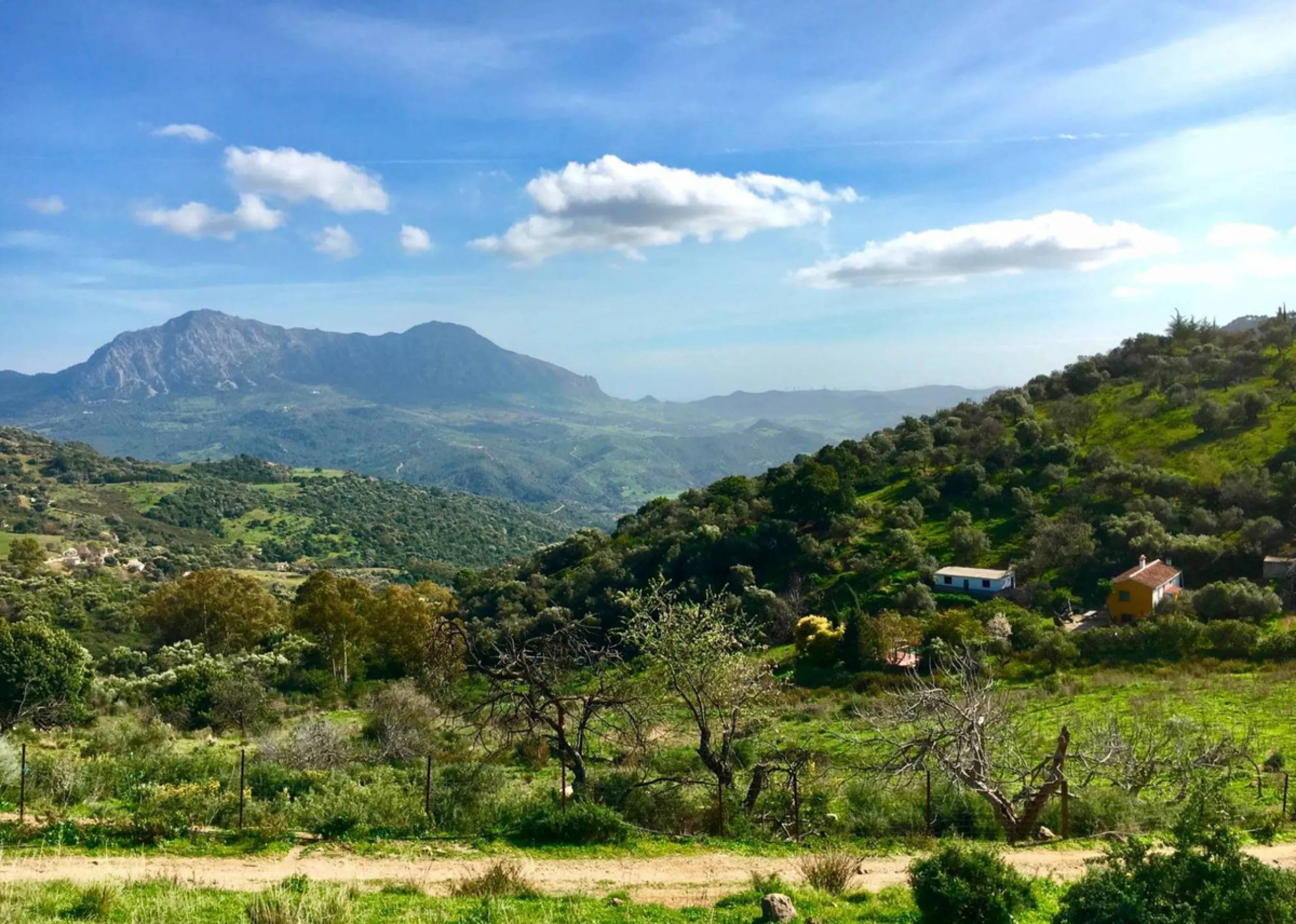 P> Exceptional and rare property just 27 km from the beaches of the  Costa del Sol. An ideal estate for equestrians, featuring a stable block, a spacious farmhouse , a cosy guest casita, and an additional building suitable for conversion into further acco