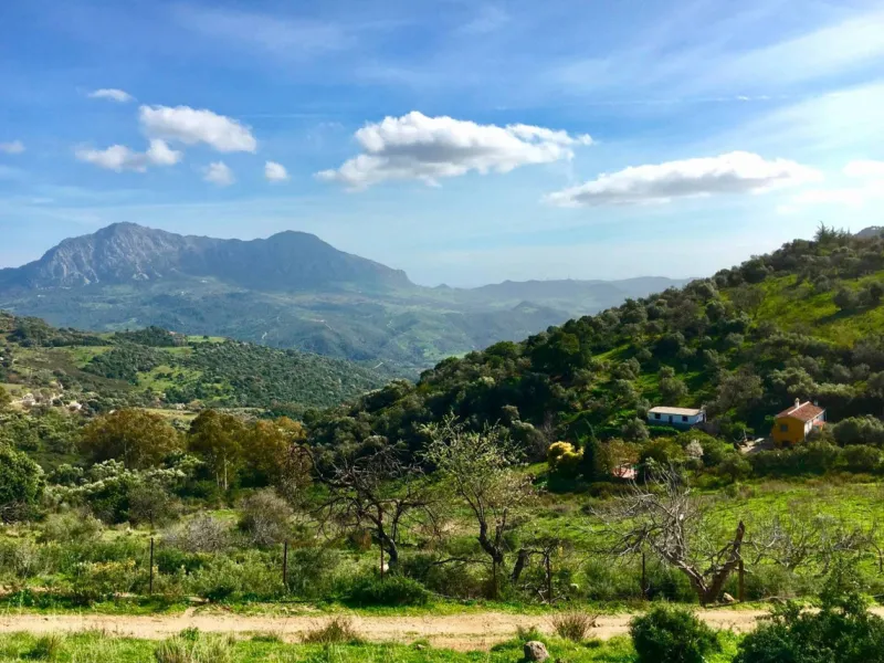 P> Exceptional and rare property just 27 km from the beaches of the  Costa del Sol. An ideal estate for equestrians, featuring a stable block, a spacious farmhouse , a cosy guest casita, and an additional building suitable for conversion into further acco