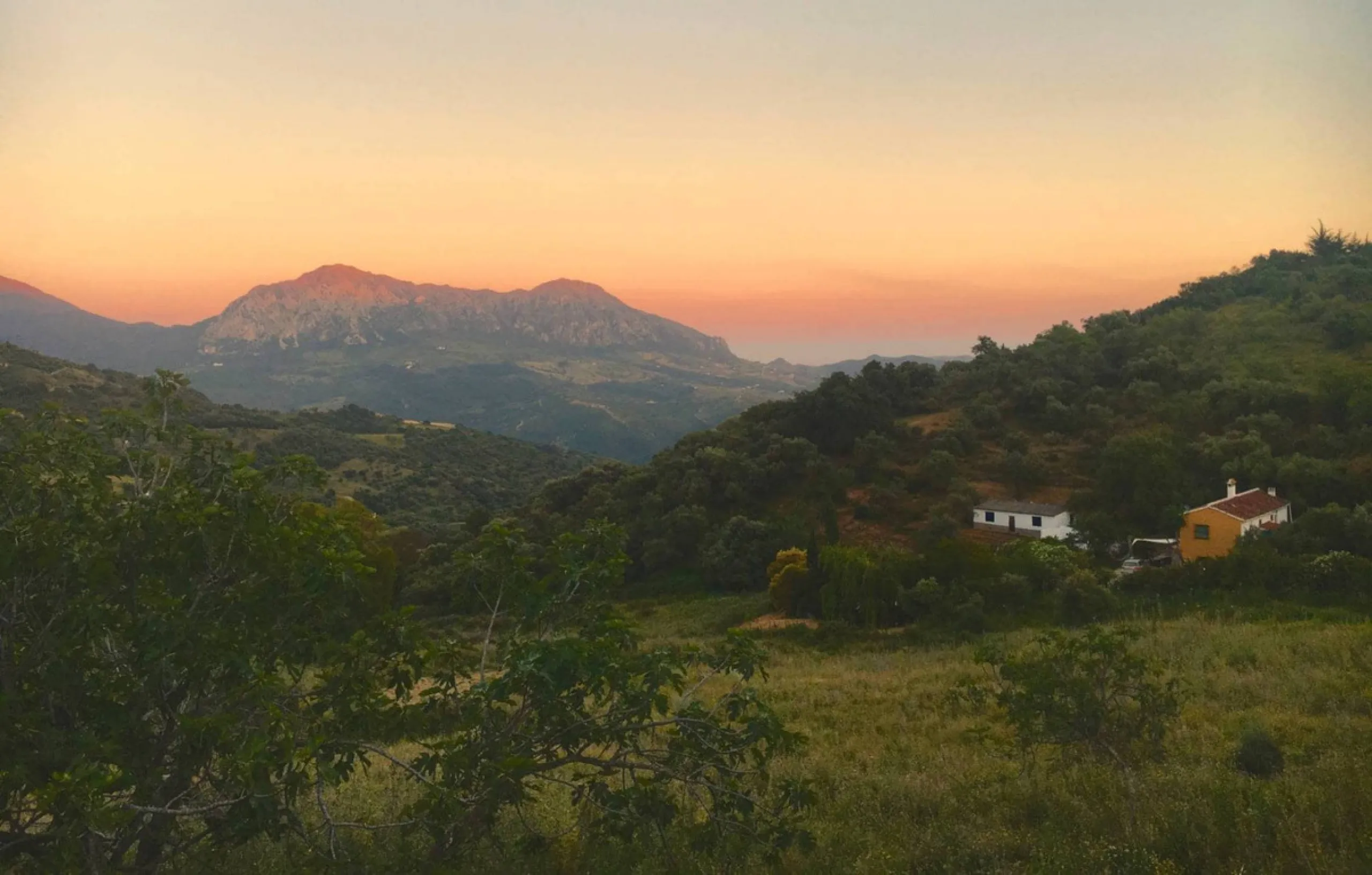 P> Exceptional and rare property just 27 km from the beaches of the  Costa del Sol. An ideal estate for equestrians, featuring a stable block, a spacious farmhouse , a cosy guest casita, and an additional building suitable for conversion into further acco
