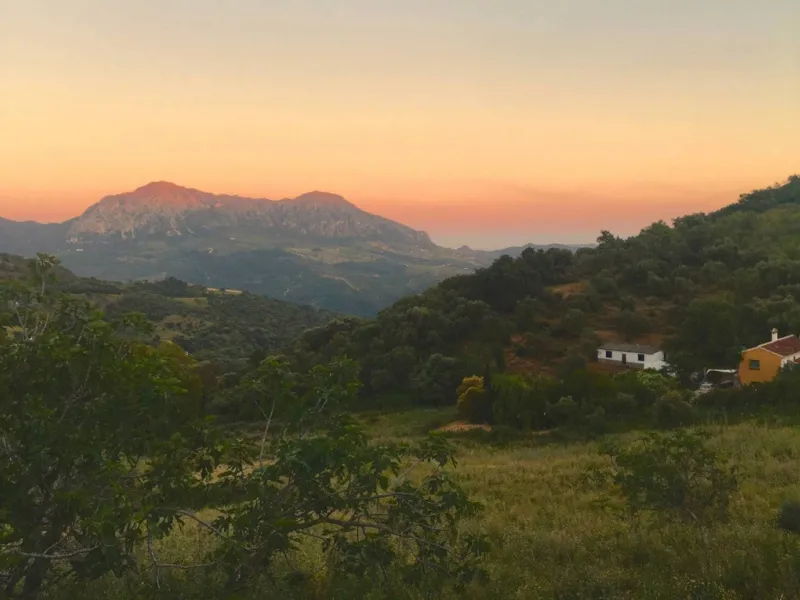 P> Exceptional and rare property just 27 km from the beaches of the  Costa del Sol. An ideal estate for equestrians, featuring a stable block, a spacious farmhouse , a cosy guest casita, and an additional building suitable for conversion into further acco