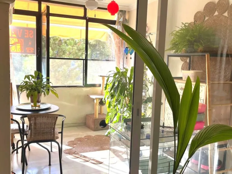 Step into this exceptional apartment, perfectly situated just moments from the glamorous Puerto Banús and Marbella's pristine beaches, in the heart of Nueva Andalucía—the prestigious 'Golf Valley' of the Costa del Sol. Known for its upscale lifestyle, wor