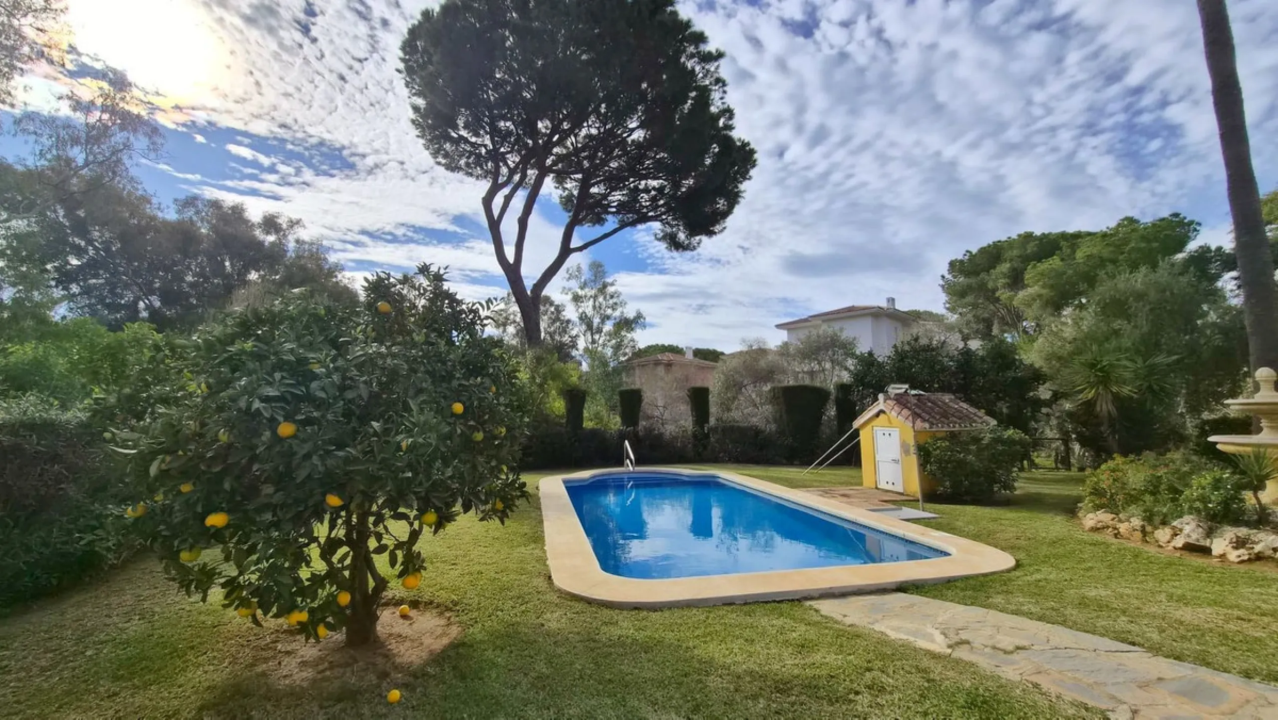 Semi-Detached House for Sale in Calahonda – Newly Renovated