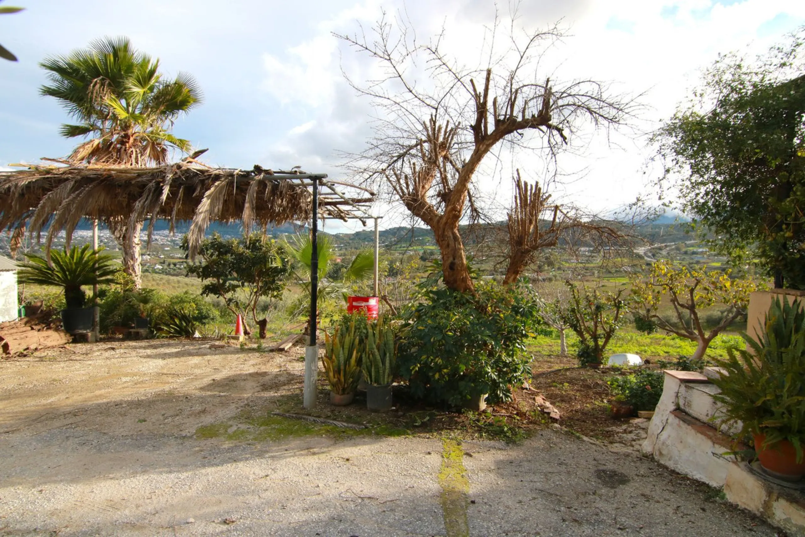RUSTIC HOUSE AND PLOT IN SIERRA GORDA