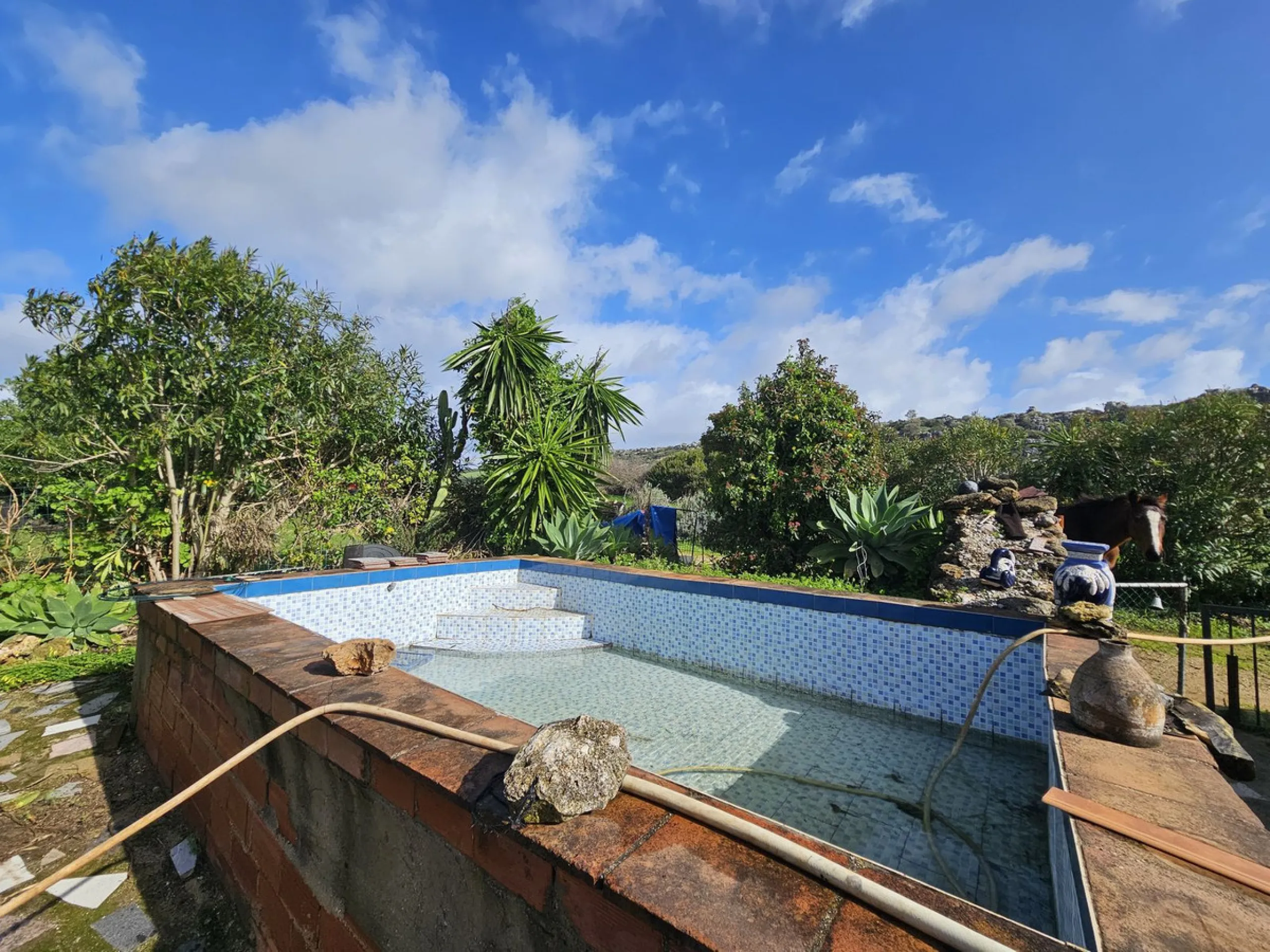 ***Special listing *** Do you dream to live off grid on the costa del sol, close to the sea, but in the mountains? This property is located in the mouth of el canuto, a beautiful nature reserve in casares malaga, very good for hiking, climbing, bird watch