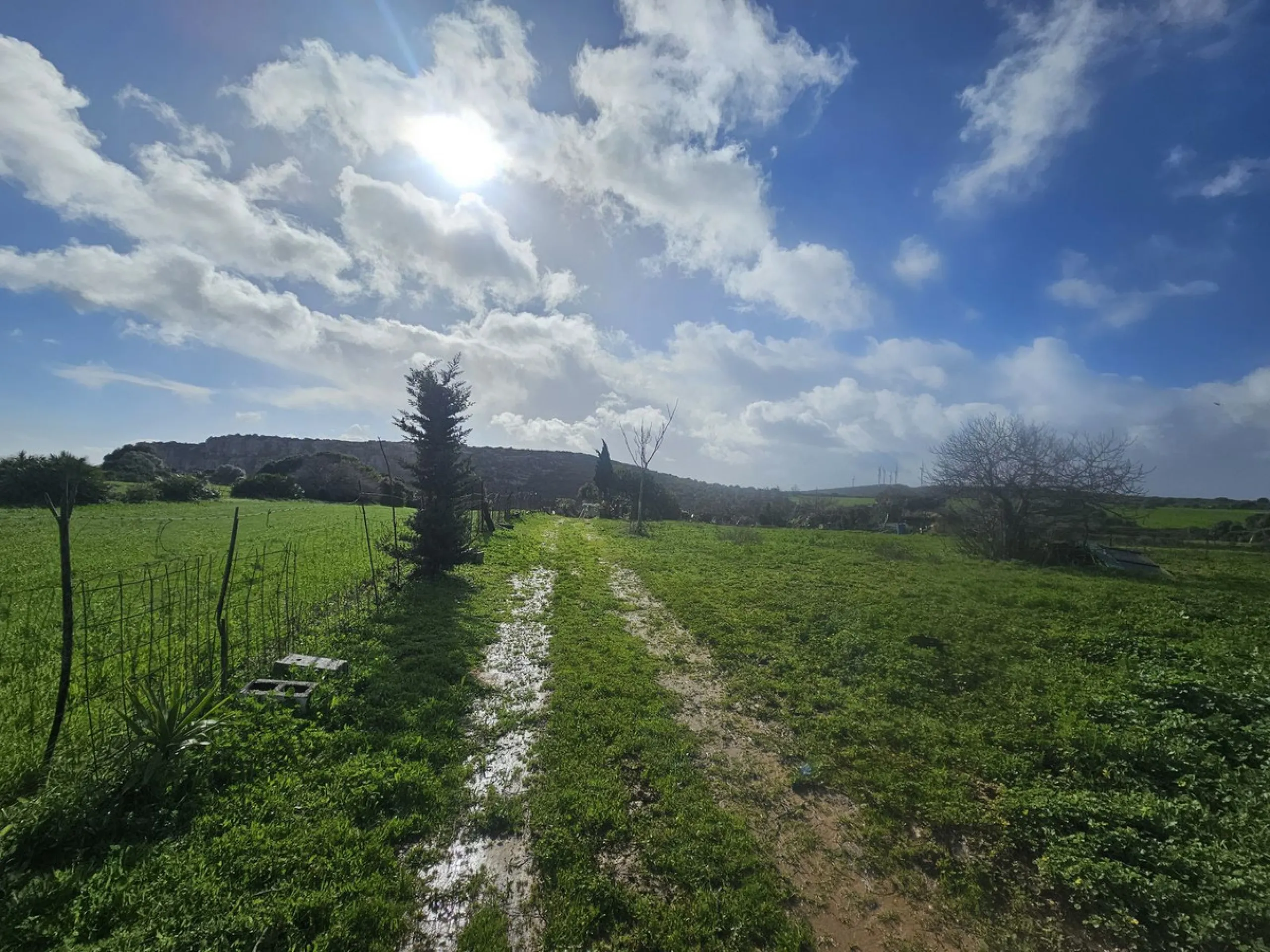 ***Special listing *** Do you dream to live off grid on the costa del sol, close to the sea, but in the mountains? This property is located in the mouth of el canuto, a beautiful nature reserve in casares malaga, very good for hiking, climbing, bird watch