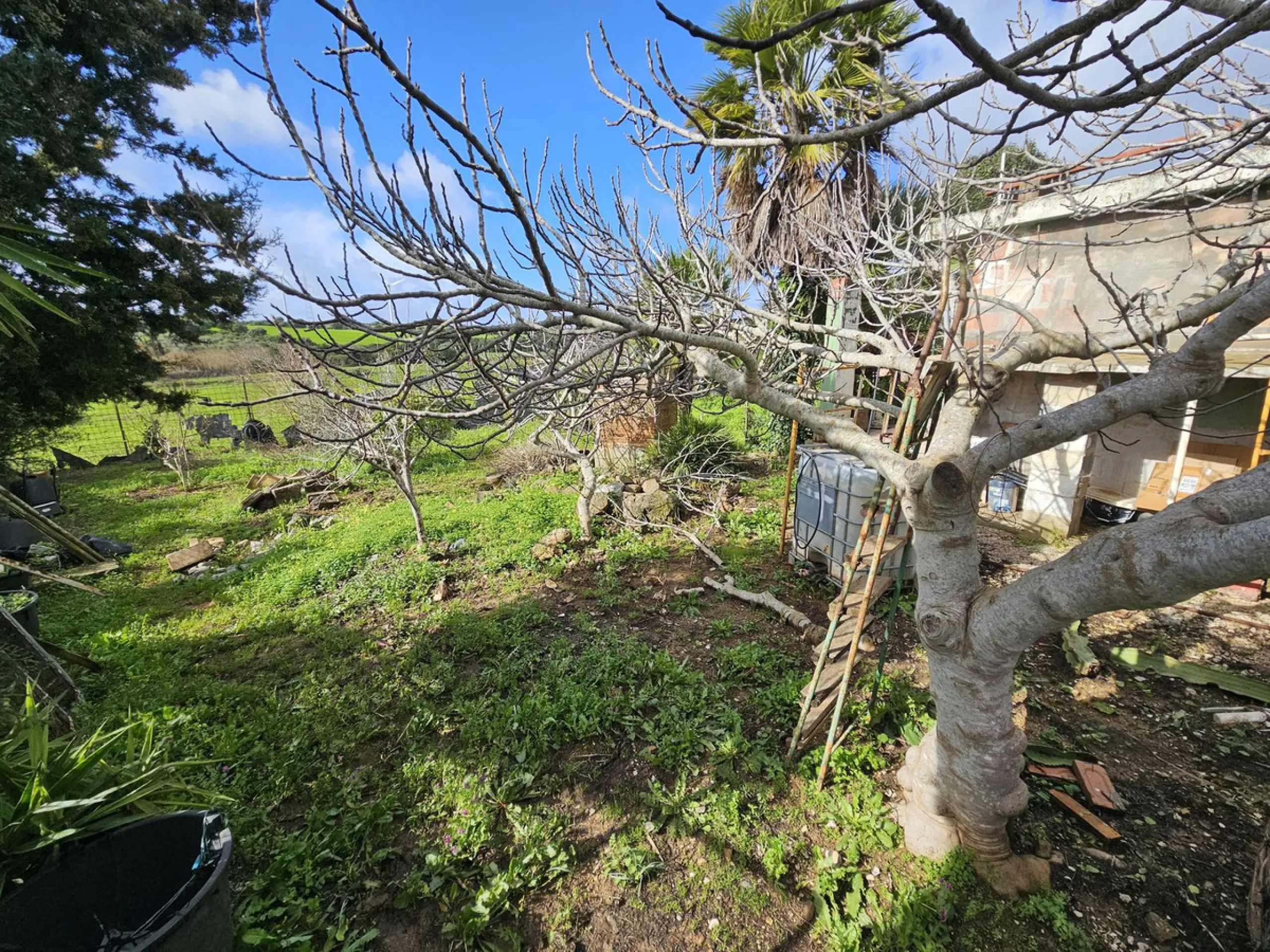 ***Special listing *** Do you dream to live off grid on the costa del sol, close to the sea, but in the mountains? This property is located in the mouth of el canuto, a beautiful nature reserve in casares malaga, very good for hiking, climbing, bird watch