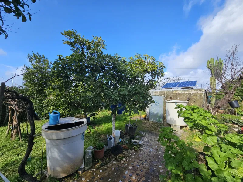 ***Special listing *** Do you dream to live off grid on the costa del sol, close to the sea, but in the mountains? This property is located in the mouth of el canuto, a beautiful nature reserve in casares malaga, very good for hiking, climbing, bird watch