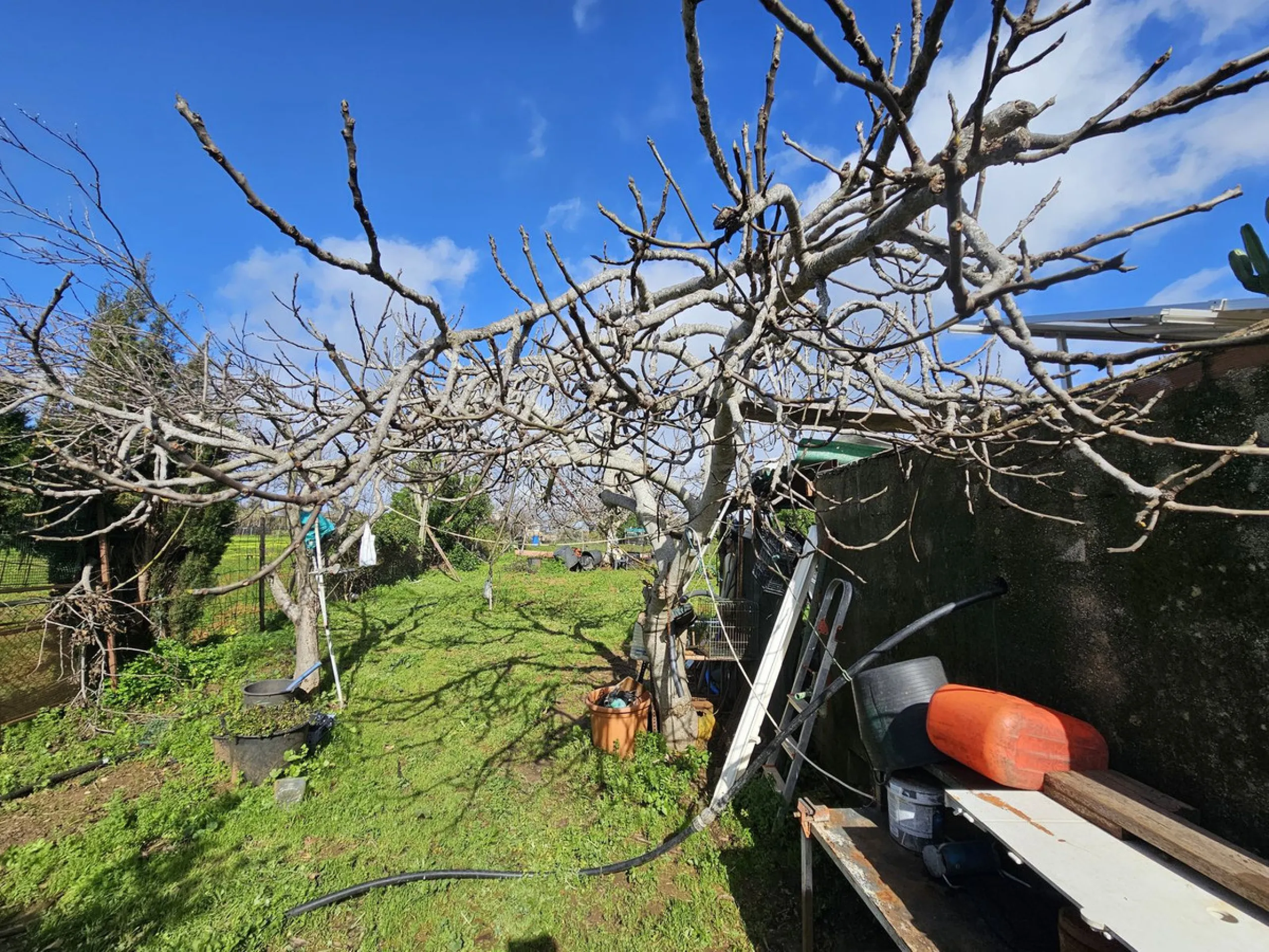 ***Special listing *** Do you dream to live off grid on the costa del sol, close to the sea, but in the mountains? This property is located in the mouth of el canuto, a beautiful nature reserve in casares malaga, very good for hiking, climbing, bird watch