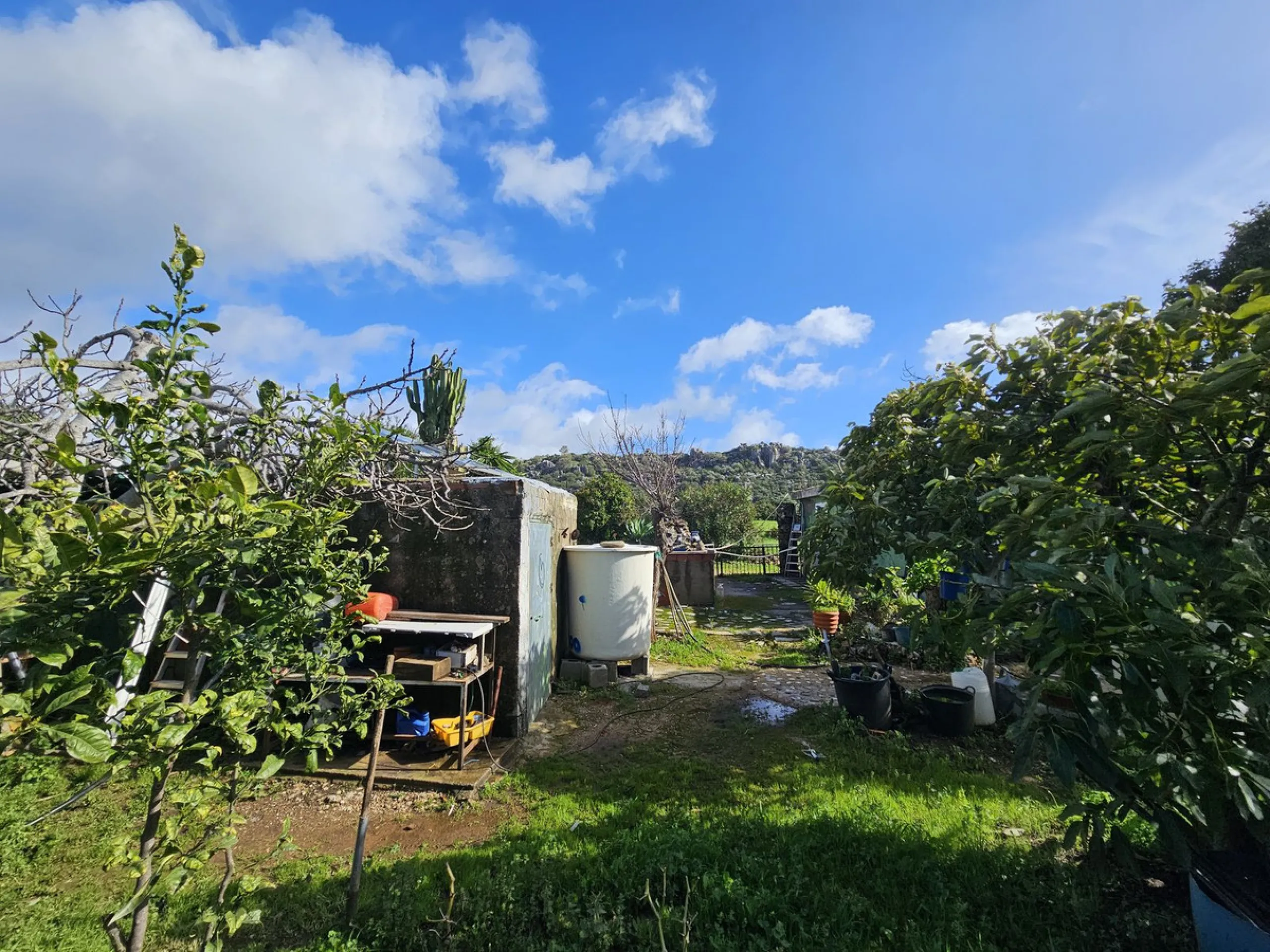 ***Special listing *** Do you dream to live off grid on the costa del sol, close to the sea, but in the mountains? This property is located in the mouth of el canuto, a beautiful nature reserve in casares malaga, very good for hiking, climbing, bird watch