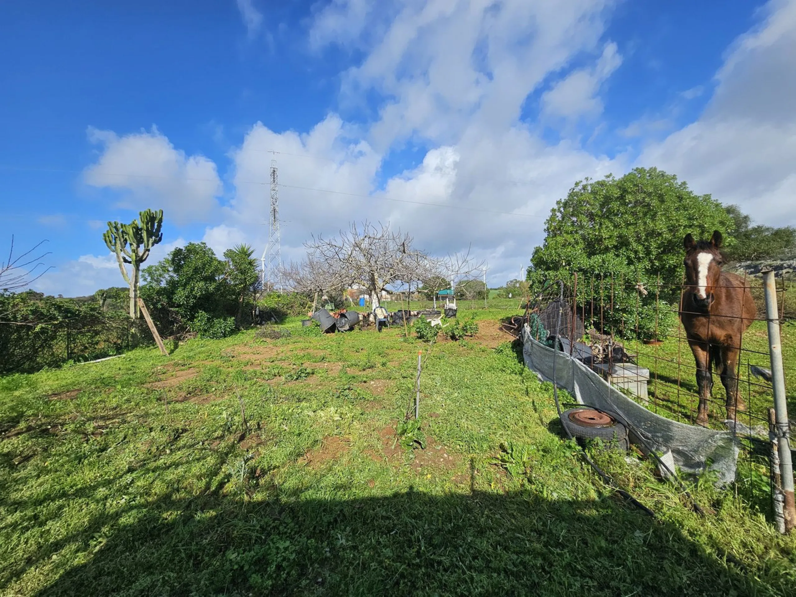 ***Special listing *** Do you dream to live off grid on the costa del sol, close to the sea, but in the mountains? This property is located in the mouth of el canuto, a beautiful nature reserve in casares malaga, very good for hiking, climbing, bird watch