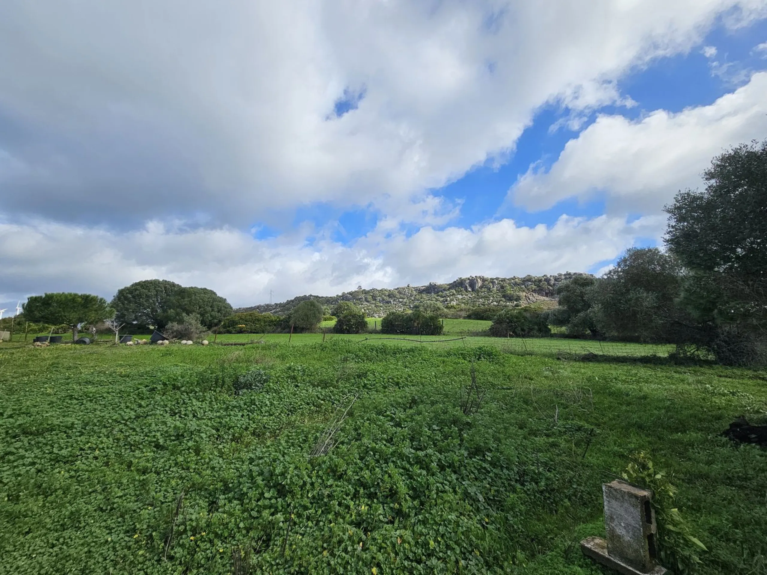 ***Special listing *** Do you dream to live off grid on the costa del sol, close to the sea, but in the mountains? This property is located in the mouth of el canuto, a beautiful nature reserve in casares malaga, very good for hiking, climbing, bird watch