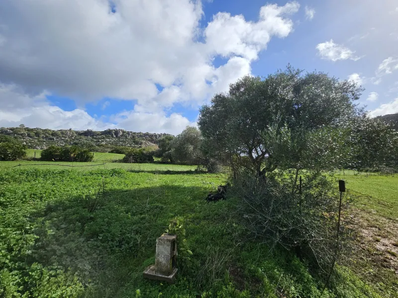 ***Special listing *** Do you dream to live off grid on the costa del sol, close to the sea, but in the mountains? This property is located in the mouth of el canuto, a beautiful nature reserve in casares malaga, very good for hiking, climbing, bird watch