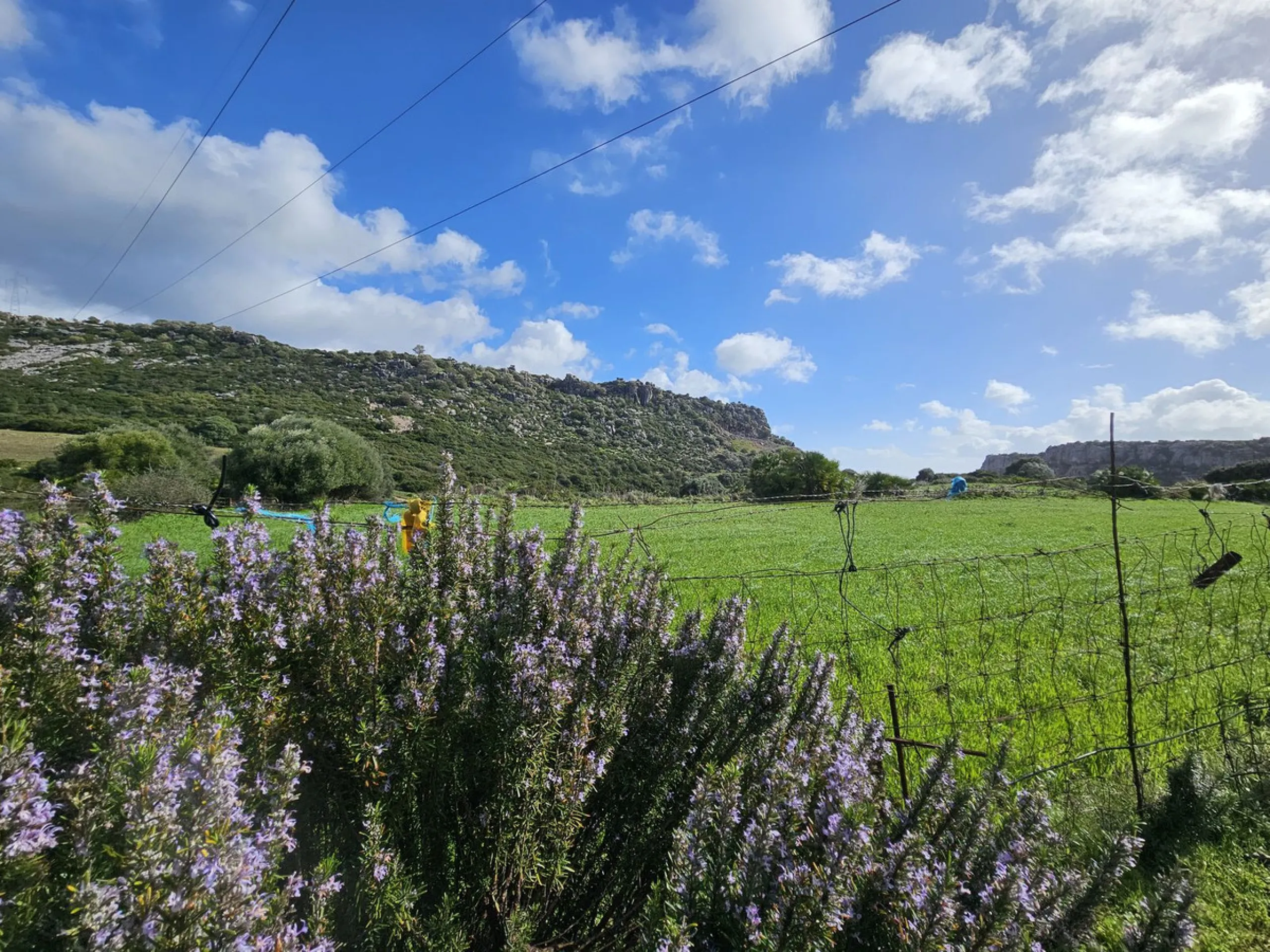 ***Special listing *** Do you dream to live off grid on the costa del sol, close to the sea, but in the mountains? This property is located in the mouth of el canuto, a beautiful nature reserve in casares malaga, very good for hiking, climbing, bird watch
