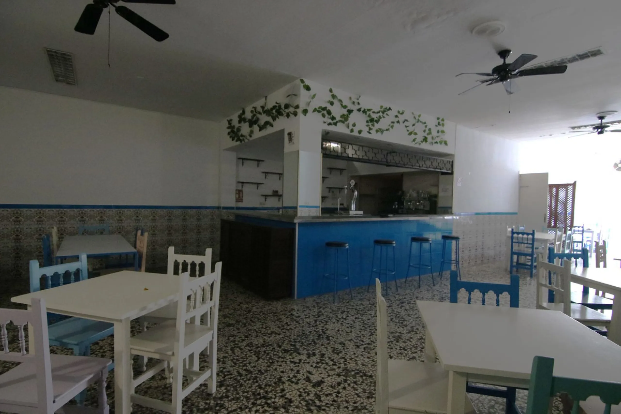 MAGNIFICENT PREMISES WITH ACCESS TO TWO STREETS IN LOS BOLICHES