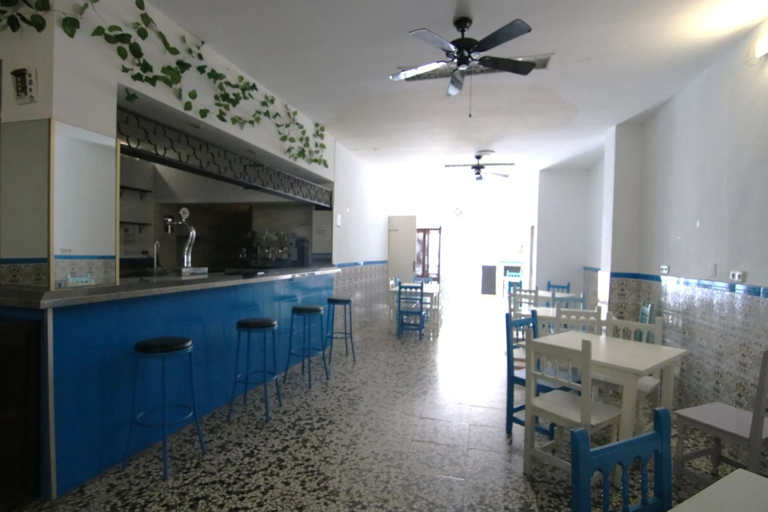 MAGNIFICENT PREMISES WITH ACCESS TO TWO STREETS IN LOS BOLICHES