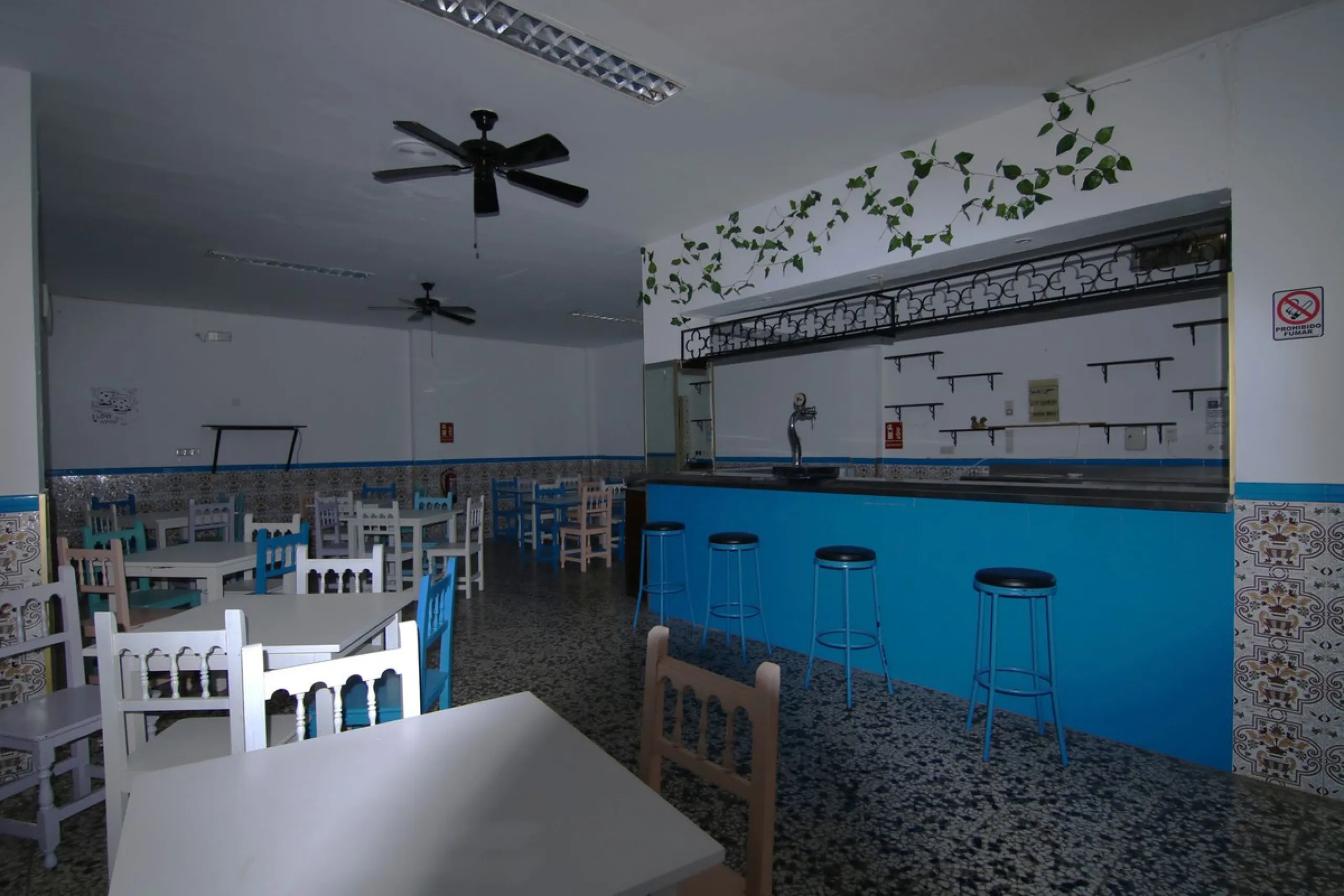 MAGNIFICENT PREMISES WITH ACCESS TO TWO STREETS IN LOS BOLICHES