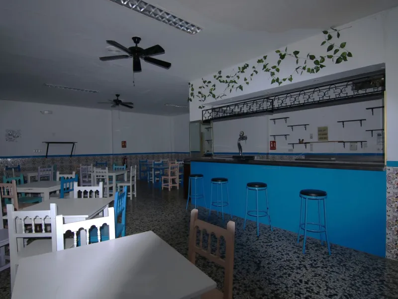 MAGNIFICENT PREMISES WITH ACCESS TO TWO STREETS IN LOS BOLICHES
