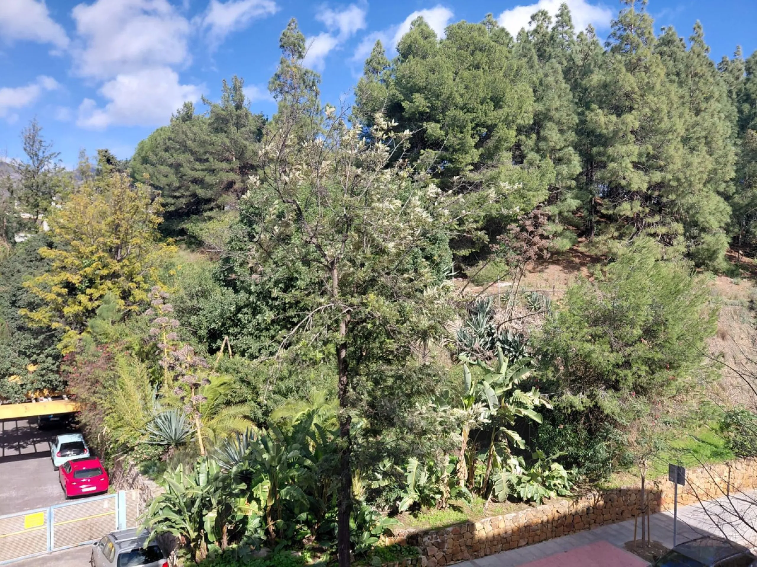 New on the Market – Prime Location in the Heart of Marbella