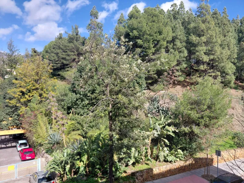 New on the Market – Prime Location in the Heart of Marbella