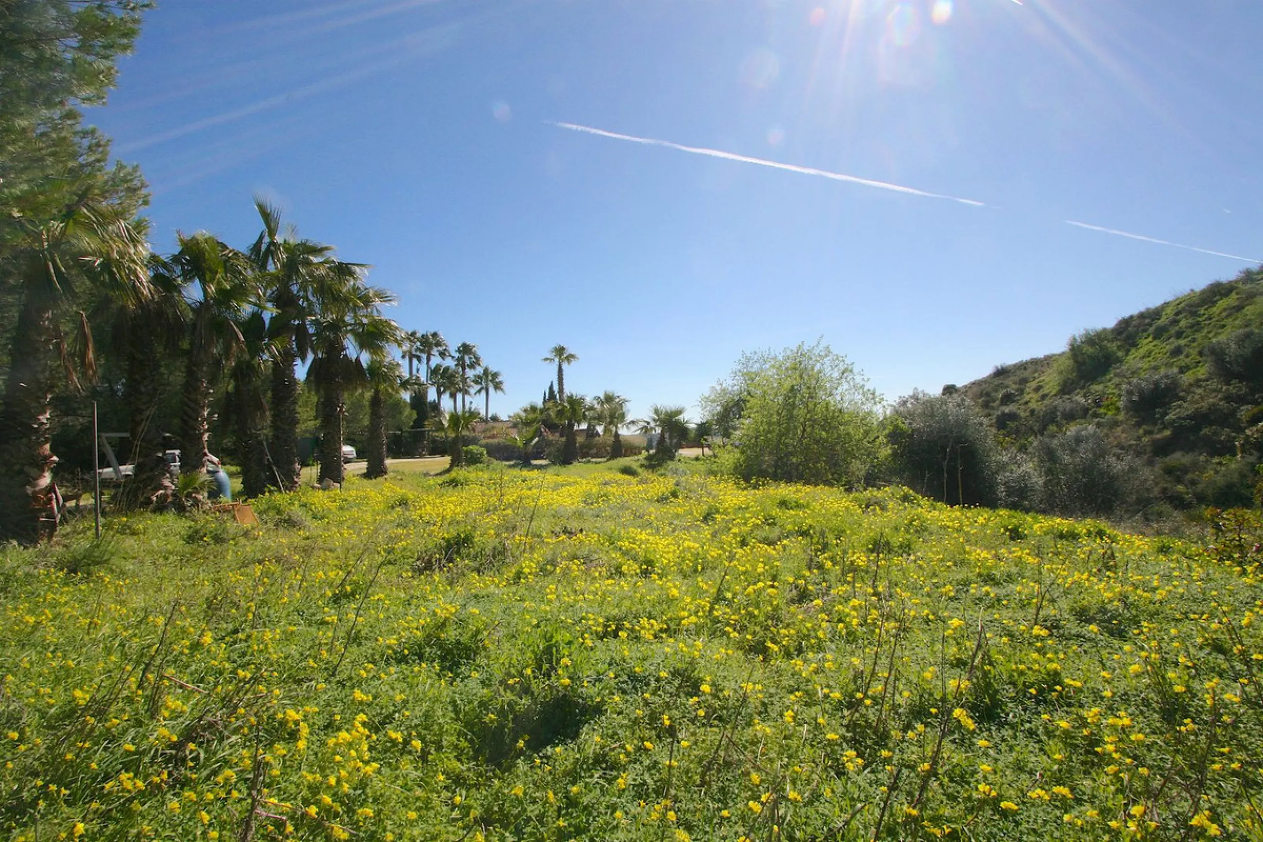 A rare opportunity to own a truly enchanting estate near the picturesque Mijas Pueblo. Set on an expansive 16,000 m² plot, this gated property offers breathtaking panoramic views surrounded by fruit trees, almond trees, and olive groves, creating a peacef