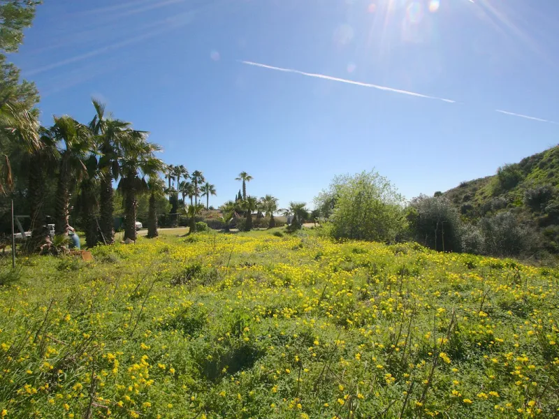 A rare opportunity to own a truly enchanting estate near the picturesque Mijas Pueblo. Set on an expansive 16,000 m² plot, this gated property offers breathtaking panoramic views surrounded by fruit trees, almond trees, and olive groves, creating a peacef