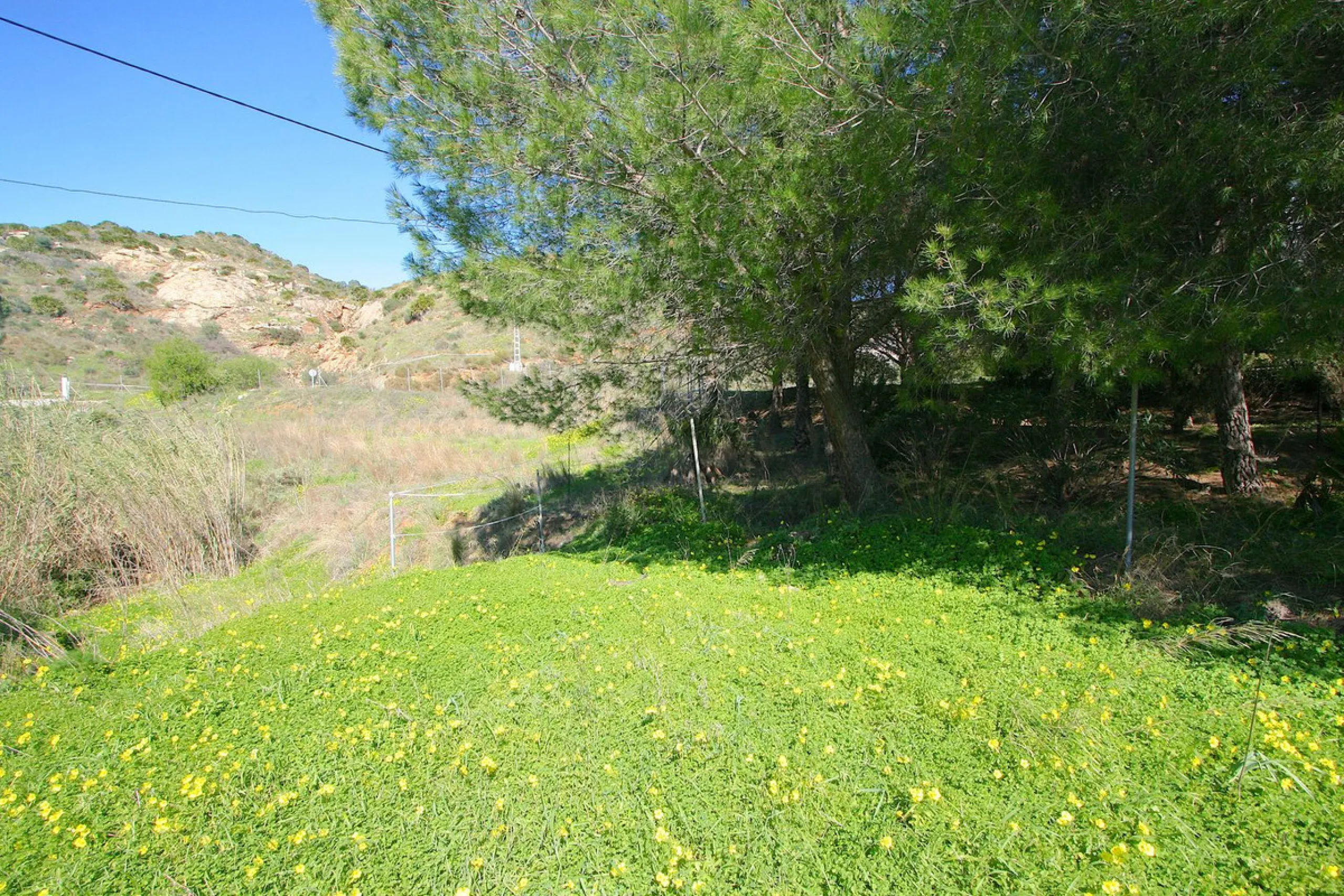 A rare opportunity to own a truly enchanting estate near the picturesque Mijas Pueblo. Set on an expansive 16,000 m² plot, this gated property offers breathtaking panoramic views surrounded by fruit trees, almond trees, and olive groves, creating a peacef