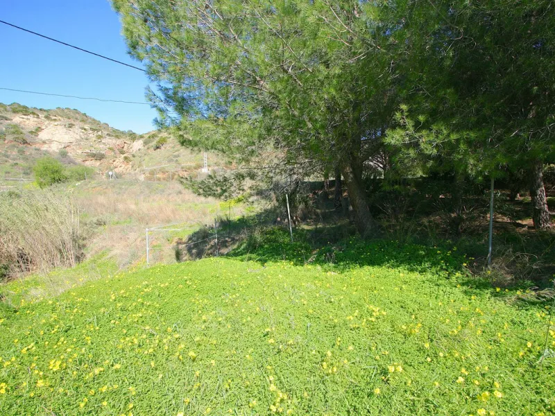 A rare opportunity to own a truly enchanting estate near the picturesque Mijas Pueblo. Set on an expansive 16,000 m² plot, this gated property offers breathtaking panoramic views surrounded by fruit trees, almond trees, and olive groves, creating a peacef
