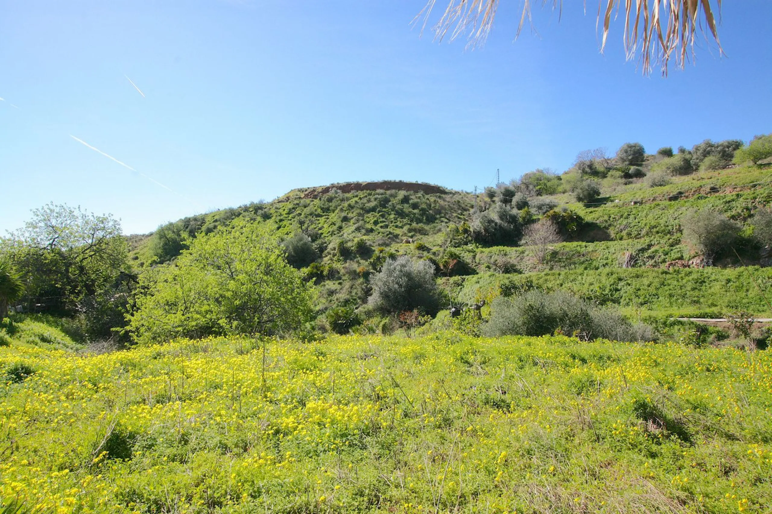A rare opportunity to own a truly enchanting estate near the picturesque Mijas Pueblo. Set on an expansive 16,000 m² plot, this gated property offers breathtaking panoramic views surrounded by fruit trees, almond trees, and olive groves, creating a peacef