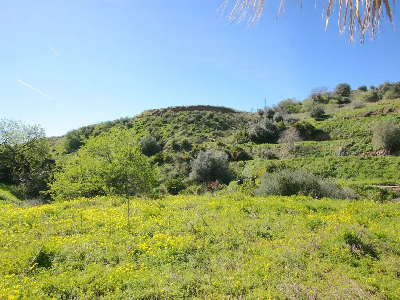A rare opportunity to own a truly enchanting estate near the picturesque Mijas Pueblo. Set on an expansive 16,000 m² plot, this gated property offers breathtaking panoramic views surrounded by fruit trees, almond trees, and olive groves, creating a peacef