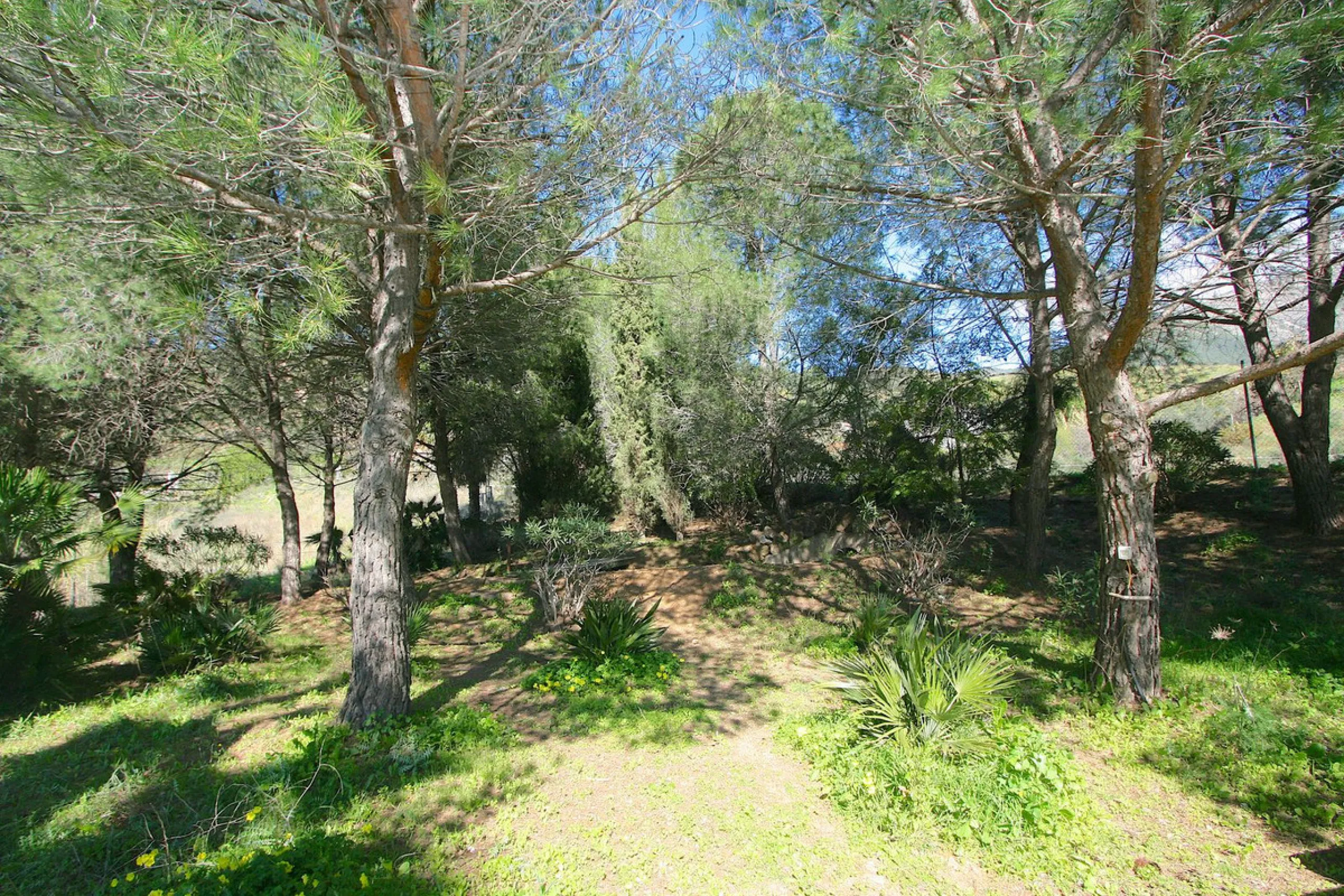 A rare opportunity to own a truly enchanting estate near the picturesque Mijas Pueblo. Set on an expansive 16,000 m² plot, this gated property offers breathtaking panoramic views surrounded by fruit trees, almond trees, and olive groves, creating a peacef