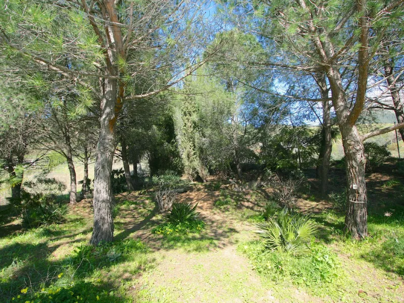 A rare opportunity to own a truly enchanting estate near the picturesque Mijas Pueblo. Set on an expansive 16,000 m² plot, this gated property offers breathtaking panoramic views surrounded by fruit trees, almond trees, and olive groves, creating a peacef