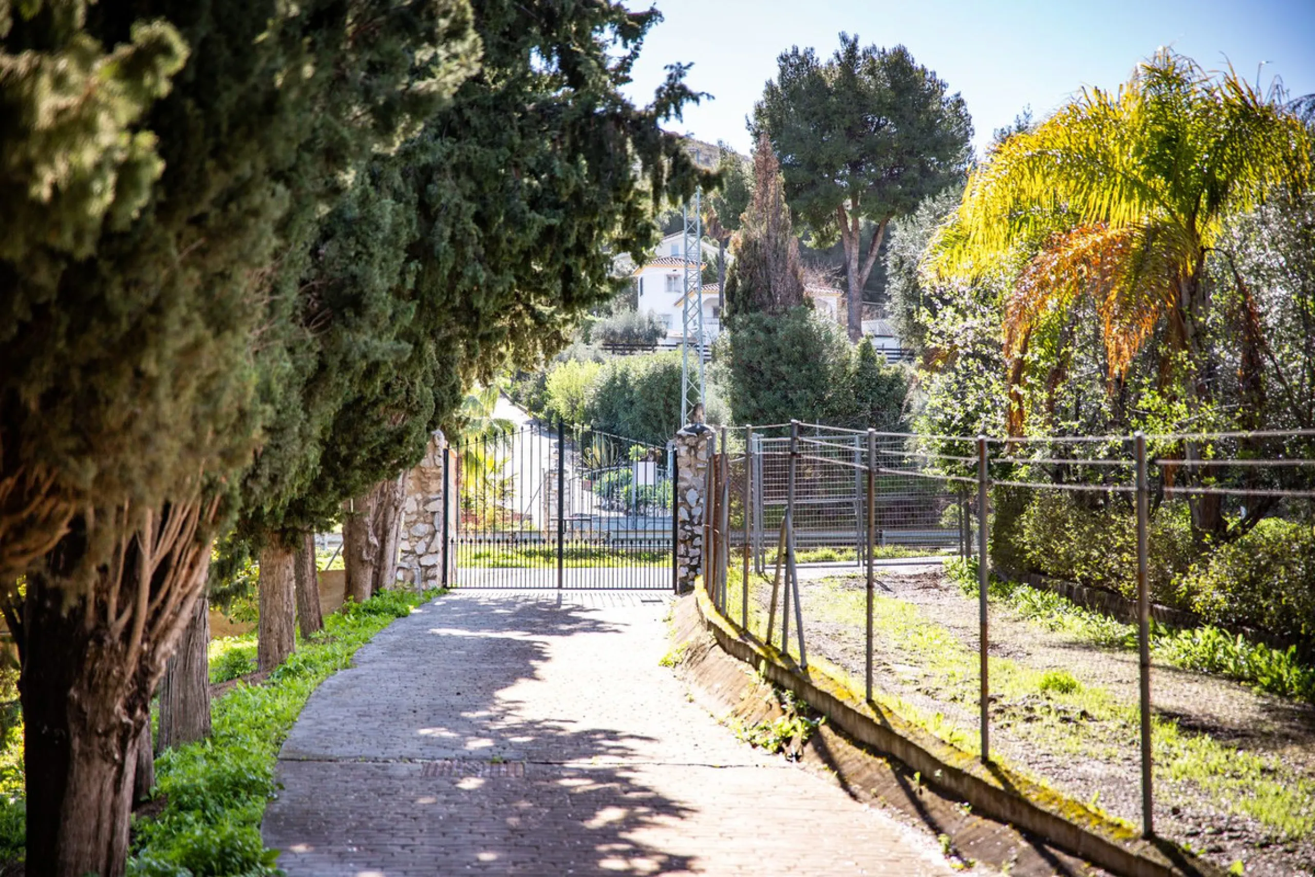 Exclusive Multi-Dwelling Estate in Alhaurín el Grande with 8,300 m² of Land, Private Well and High Investment Potential